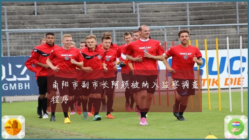 南阳市副市长阿颖被纳入监察调查程序