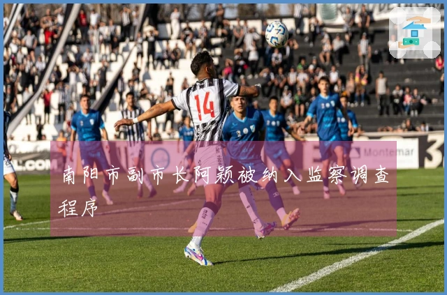 南阳市副市长阿颖被纳入监察调查程序